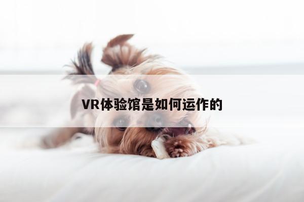 VR体验馆是如何运作的_k8凯发